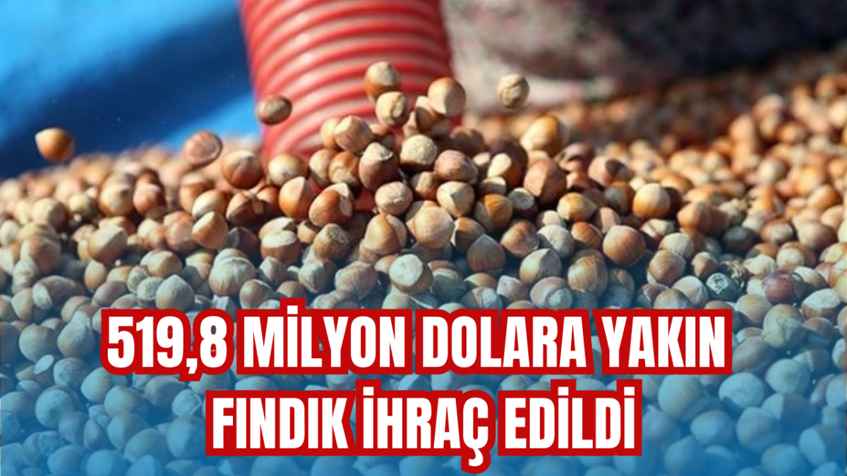 519,8 milyon dolara yakın fındık ihraç edildi