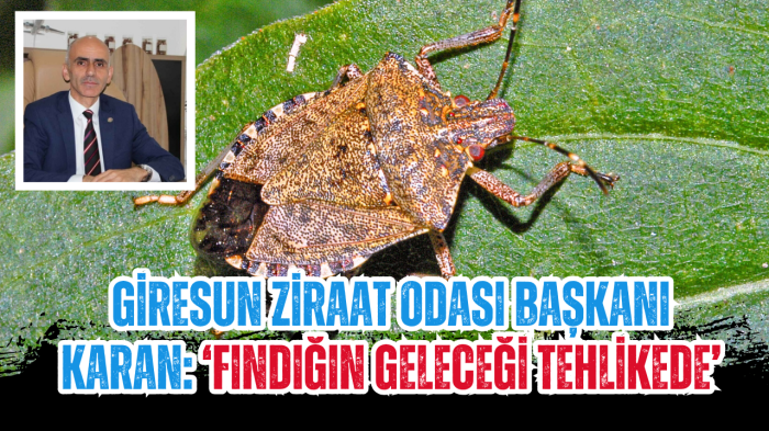 Giresun Ziraat Odası Başkanı Karan: 