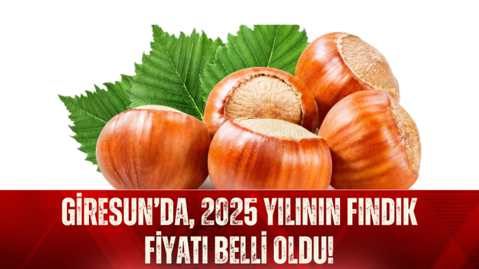 Giresun’da, 2025 yılının fındık fiyatı belli oldu!