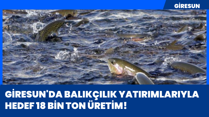 Giresun'da balıkçılık yatırımlarıyla hedef 18 bin ton üretim!