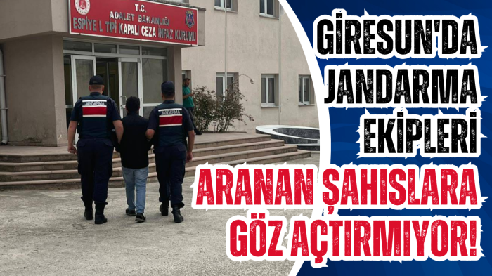 Giresun'da jandarma ekipleri aranan şahıslara göz açtırmıyor!