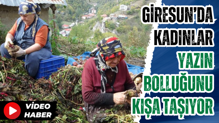 Giresun’da kadınlar yazın bolluğunu kışa taşıyor