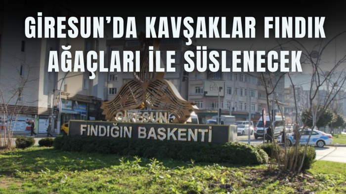 Giresun’da kavşaklar fındık ağaçları ile süslenecek