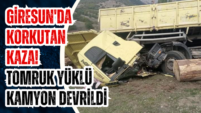 Giresun'da korkutan kaza! Tomruk yüklü kamyon devrildi