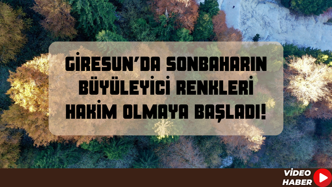 Giresun’da Sonbaharın Büyüleyici Renkleri Hakim Olmaya Başladı!