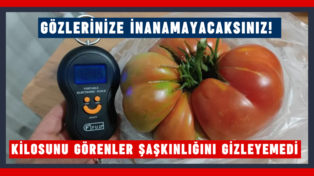 Gözlerinize inanamayacaksınız! Kilosunu görenler şaşkınlığını gizleyemedi