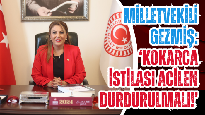 Milletvekili Gezmiş: 