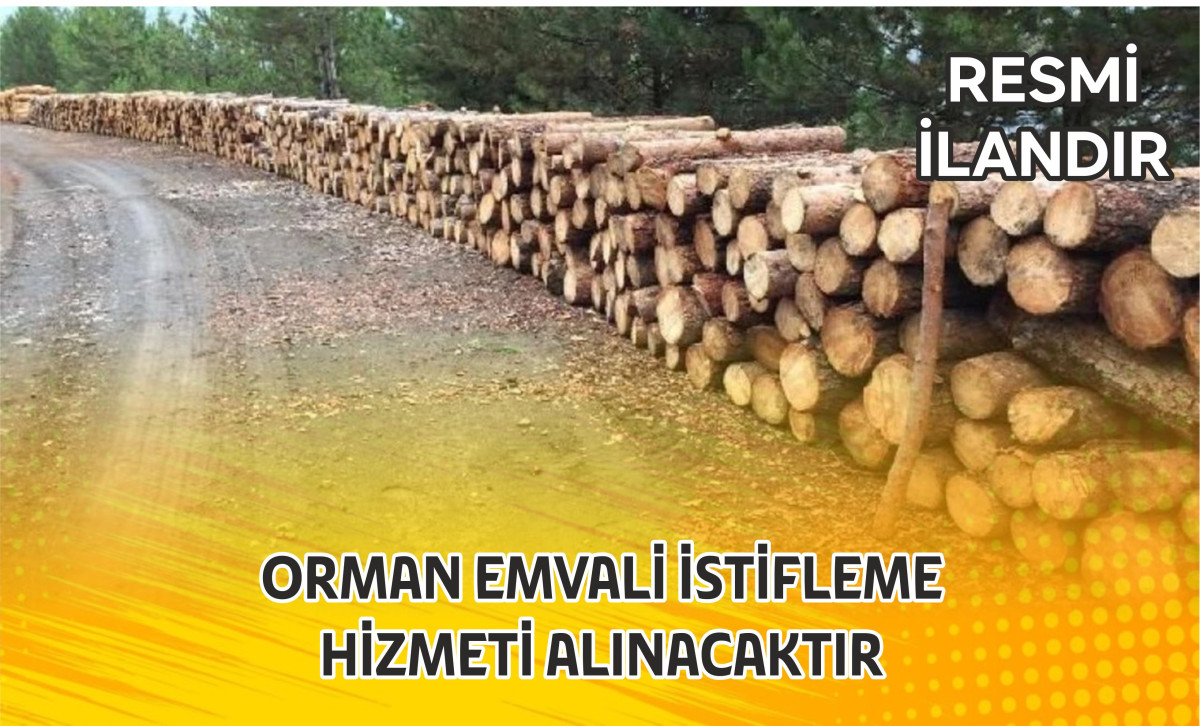 ORMAN EMVALİ İSTİFLEME HİZMETİ ALINACAKTIR