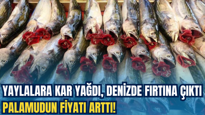 Yaylalara kar yağdı, denizde fırtına çıktı palamudun fiyatı arttı